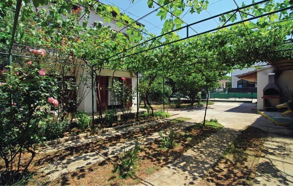 Apartmani Katarina Srima Zewnętrze zdjęcie